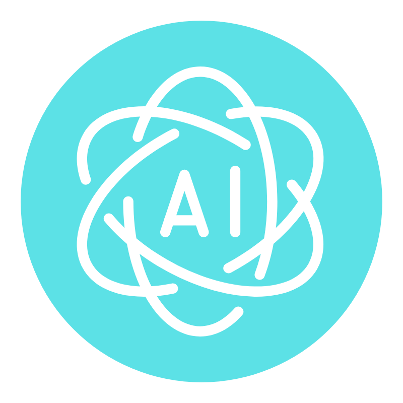 AI Usage